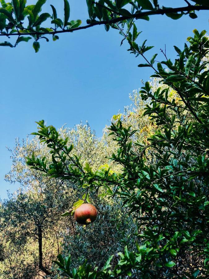 Ricomincio Da 3 Bed & Breakfast Pompei Bagian luar foto
